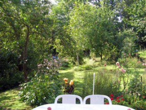 thea-tuin[1]